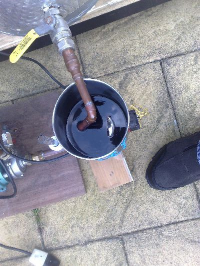 Clear wort in the underback