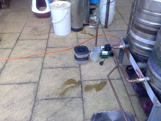 Bittering Hops
