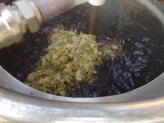 Flavour Hops